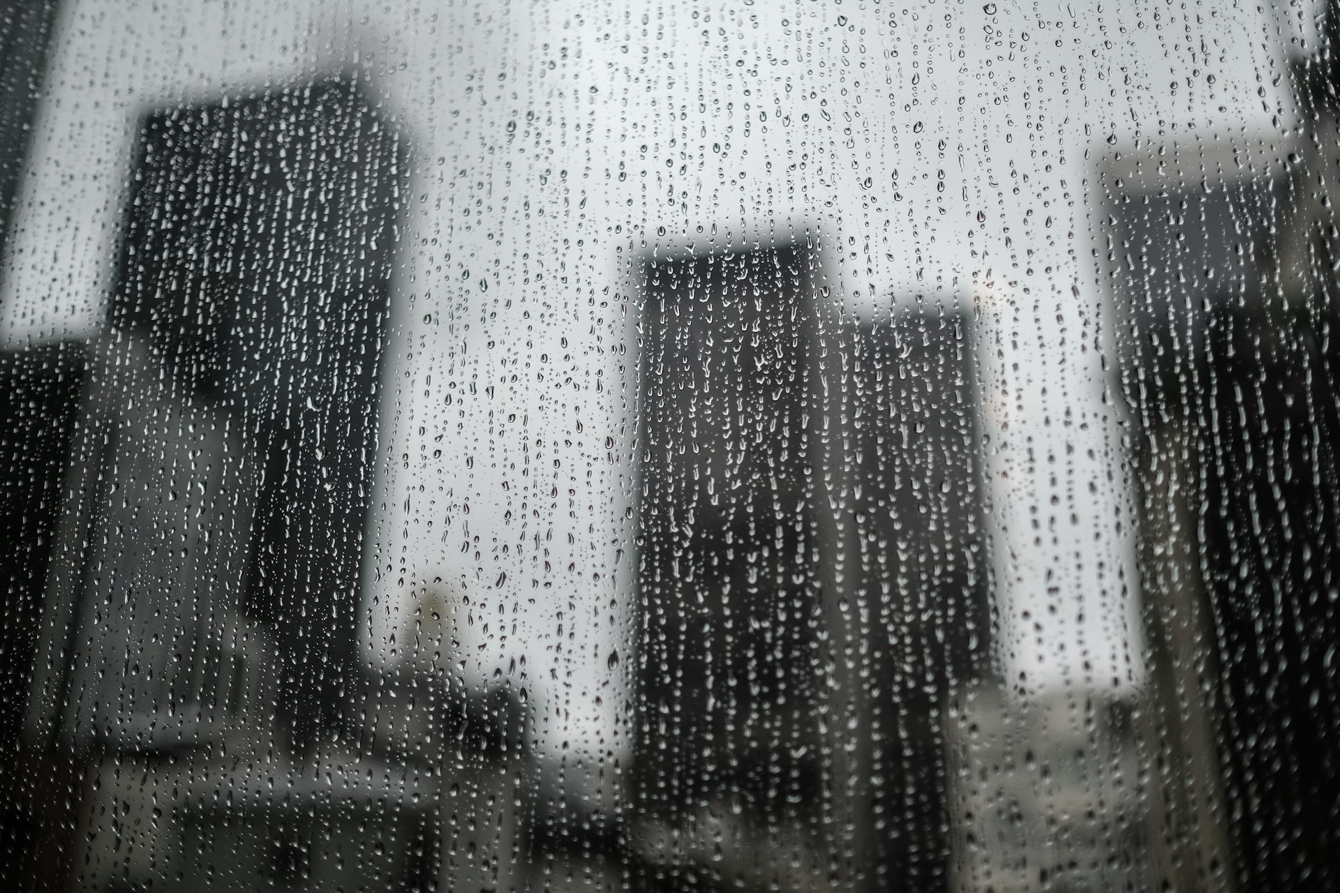 glass window frame